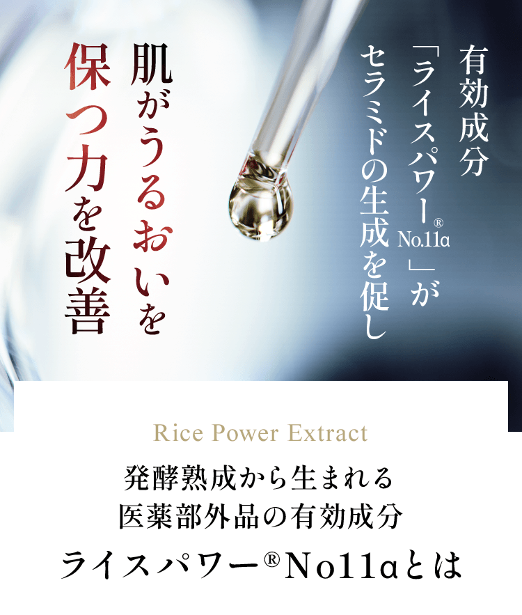 有効成分 「ライスパワー　」が セラミドの生成を促し肌がうるおいを保つ力を改善 Rice Power Extract ライスパワー®No11αとは