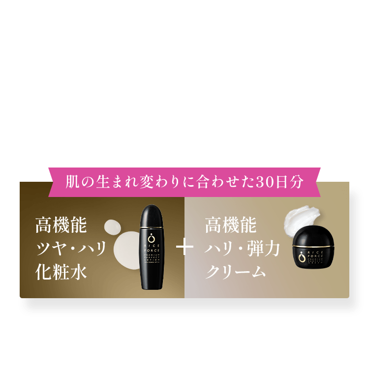 高機能 ツヤ・ハリ 化粧水+高機能 ツヤ・弾力 クリーム