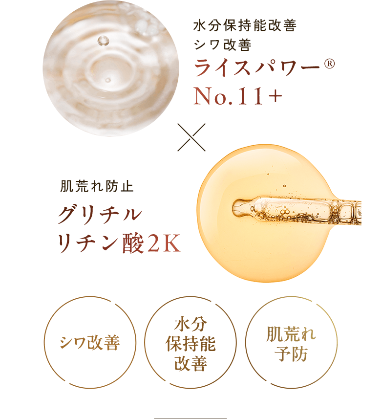 水分保持能改善 シワ改善 ライスパワー®No.11+ × 肌荒れ防止 グリチルリチン酸2K シワ改善 水分保持能改善 肌荒れ予防