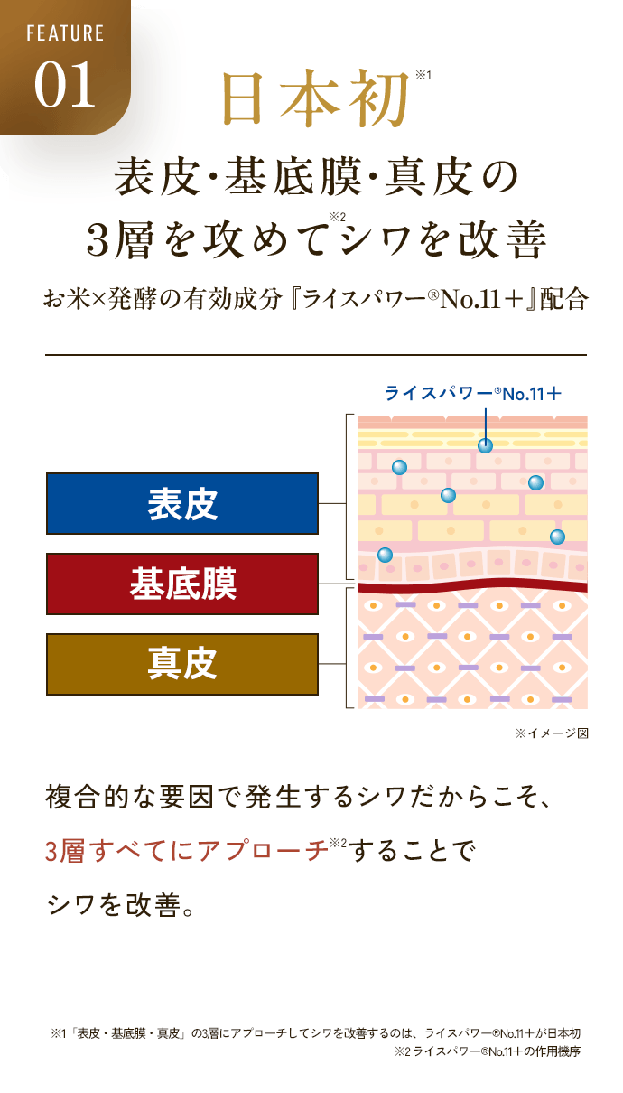FEATURE01 日本初※1 表皮・基底膜・真皮の3層を攻めてシワを改善※2 お米×発酵の有効成分『ライスパワー®No.11+』配合 ライスパワー®No.11+ 表皮 基底膜 真皮 ※イメージ図 複合的な要因で発生するシワだからこそ、3層すべてにアプローチ※2することでシワを改善。 ※1「表皮・基底膜・真皮」の3層にアプローチしてシワを改善するのは、ライスパワー®No.11+が日本初 ※2 ライスパワー®No.11+の作用機序