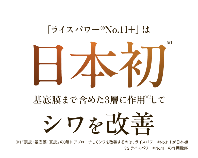 「ライスパワー®No.11+」は 日本初※1 基底膜まで含めた3層に作用※2して シワを改善 ※1「表皮・基底膜・真皮」の3層にアプローチしてシワを改善するのは、ライスパワー®No.11+が日本初 ※2 ライスパワー®No.11+の作用機序