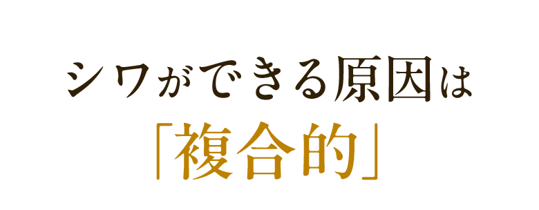 シワができる原因は「複合的」