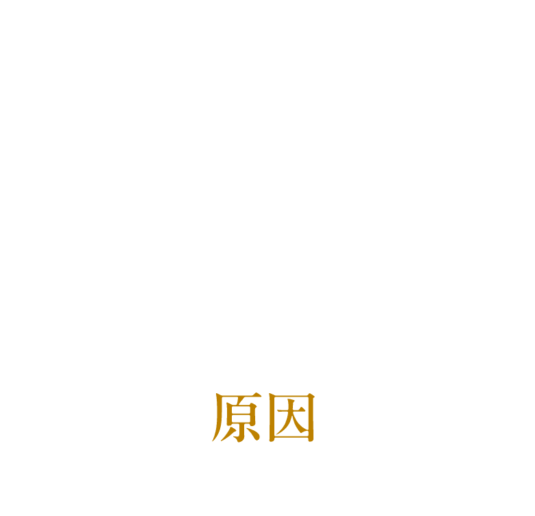 年齢につれて増える肌悩み… シワ ハリ不足 くすみ※ 乾燥 ごわつき 毛穴目立ち※ ※乾燥による その原因は…