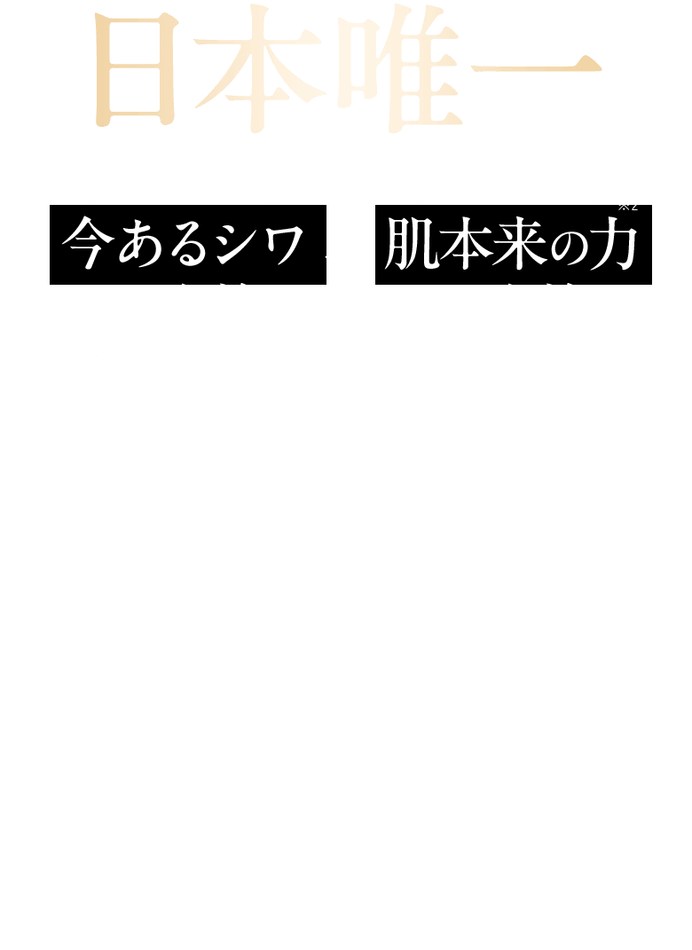 日本唯一※1 今あるシワを改善×肌本来の力※2を改善 お米×発酵で生まれる複合エキス 有効成分「ライスパワー®No.11+」配合 ※1 ライスパワー®No.11+は水分保持能改善とシワ改善効能をもつ日本唯一の成分 ※2 水分保持能