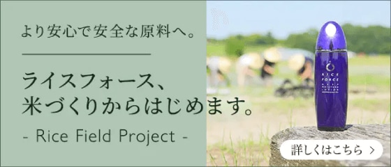 Rice Field Project