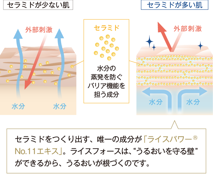 ディープモイスチュアシリーズ ライスフォース 肌を育むスキンケアプログラム