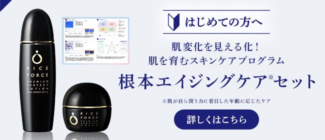 ☆引渡し者様決定済☆【ライスフォース本格エイジングケア3点セット】 プレミアムパーフェクトシリーズ(エイジングケア) | シリーズから探す