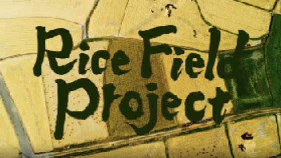 Rice Field Project