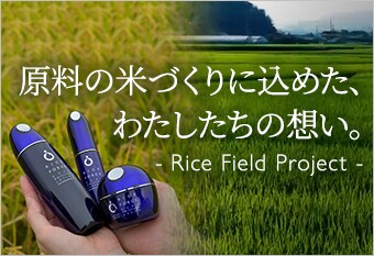原料の米づくりに込めた、わたしたちの想い。- Rice Field Project -