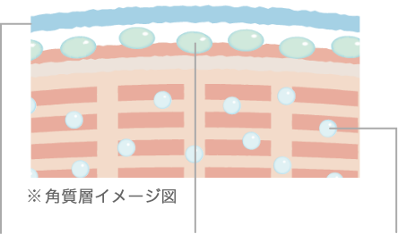プレミアムパーフェクトエッセンス｜ライスフォース＜公式