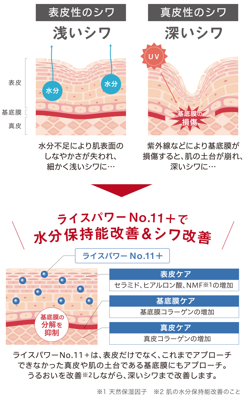 ライスフォース リンクルボールセラム | ライスフォース＜公式