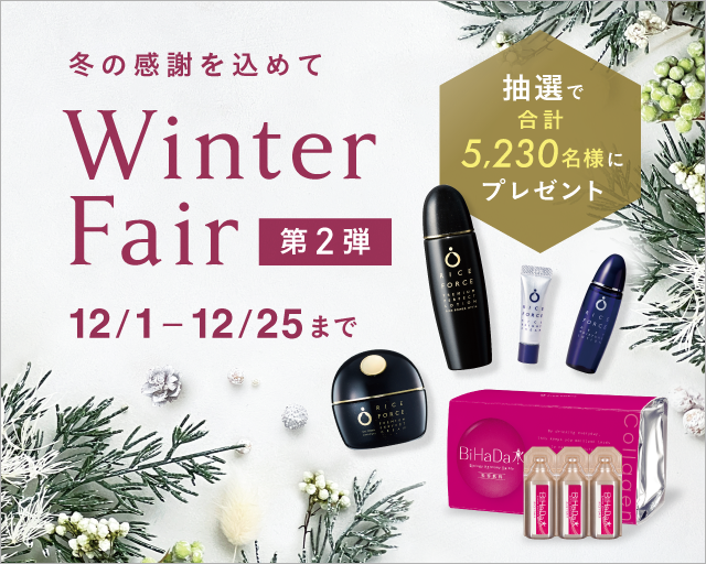 Winter Fair
