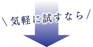 気軽に試すなら