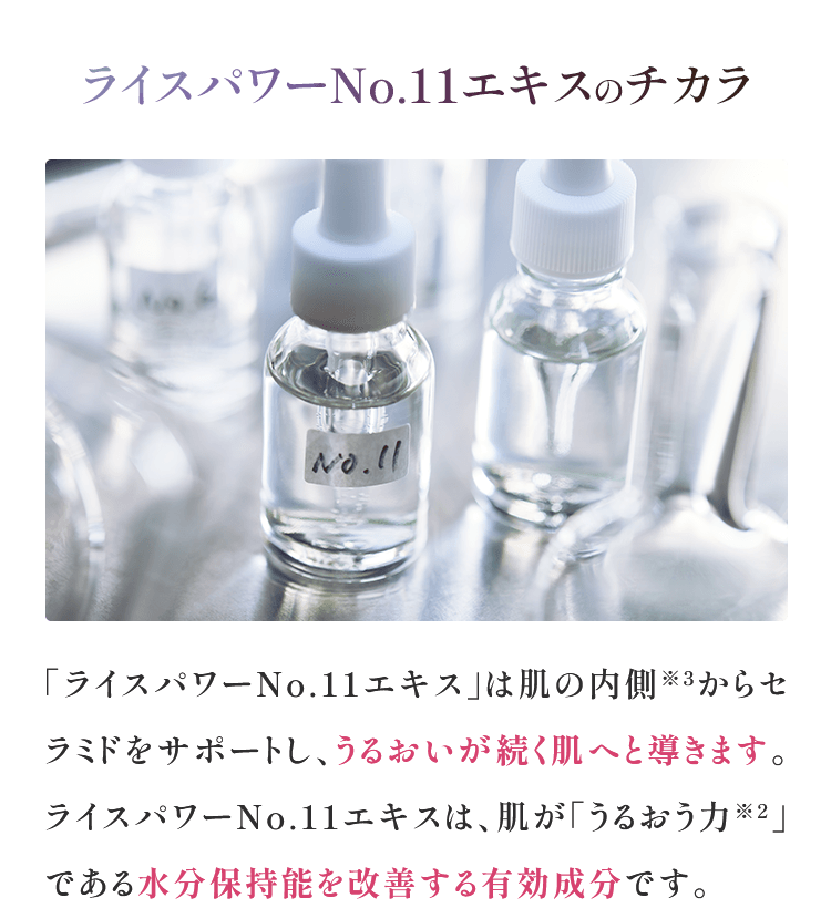 ライスパワーNo.11エキスのチカラ 「ライスパワーNo.11エキス」は肌の内側※3からセラミドをサポートし、うるおいが続く肌へと導きます。ライスパワーNo.11エキスは、肌が「うるおう力※2」である水分保持能を改善する有効成分です。※1 角質層 ※2 水分保持能のこと ※3 基底層