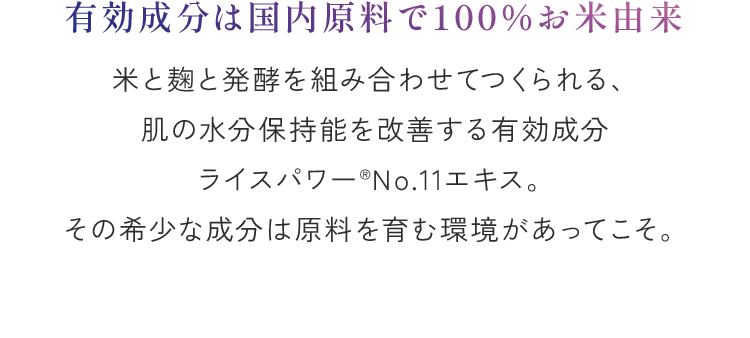 有効成分は国内原料で100％お米由来 米と麹と発酵を組み合わせてつくられる、
            肌の水分保持能を改善する有効成分ライスパワー®No.11エキス。その希少な成分は原料を育む環境があってこそ。