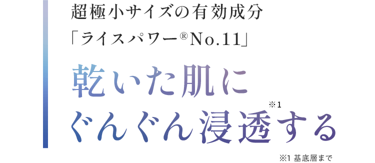 超極小サイズの有効成分 「ライスパワー®No.11」乾いた肌にぐんぐん浸透する