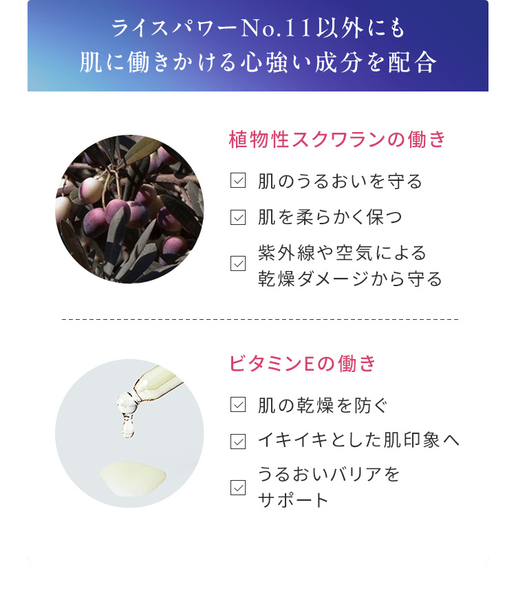 ライスパワーNo.11以外にも 肌に働きかける心強い成分を配合 植物性スクワランの働き ビタミンEの働き