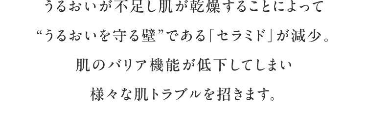 うるおいが不足し肌が乾燥することによって“うるおいを守る壁”である「セラミド」が減少。肌のバリア機能が低下してしまい様々な肌トラブルを招きます。