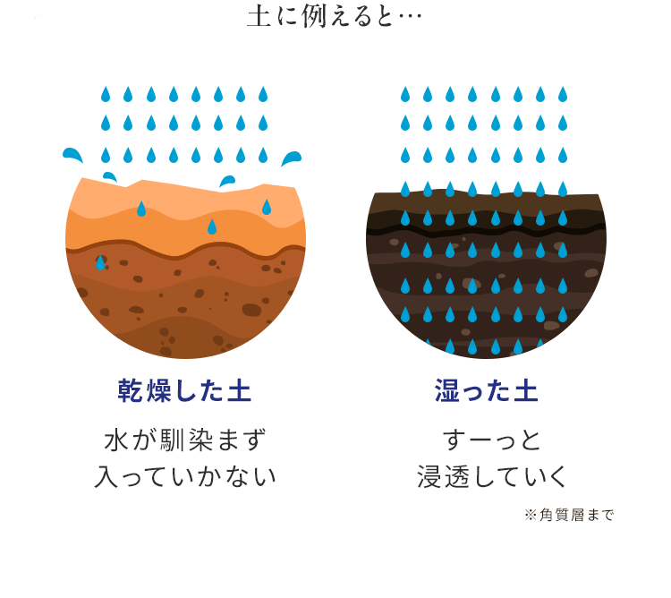 土に例えると… 乾燥した土水が馴染まず入っていかない 湿った土すーっと浸透していく※角質層まで