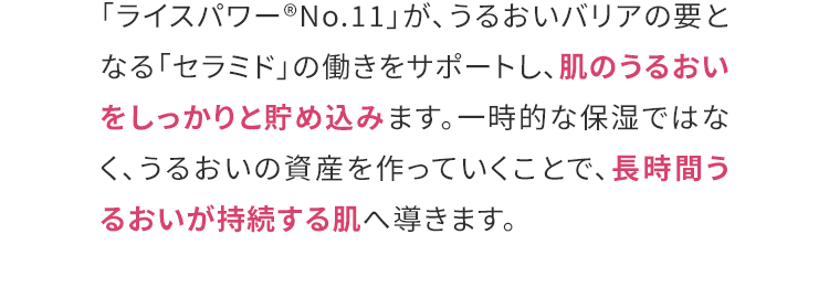 「ライスパワー®No.11」が、うるおいバリアの要となる「セラミド」の働きをサポートし、肌のうるおいをしっかりと貯め込みます。一時的な保湿ではなく、うるおいの資産を作っていくことで、長時間うるおいが持続する肌へ導きます。