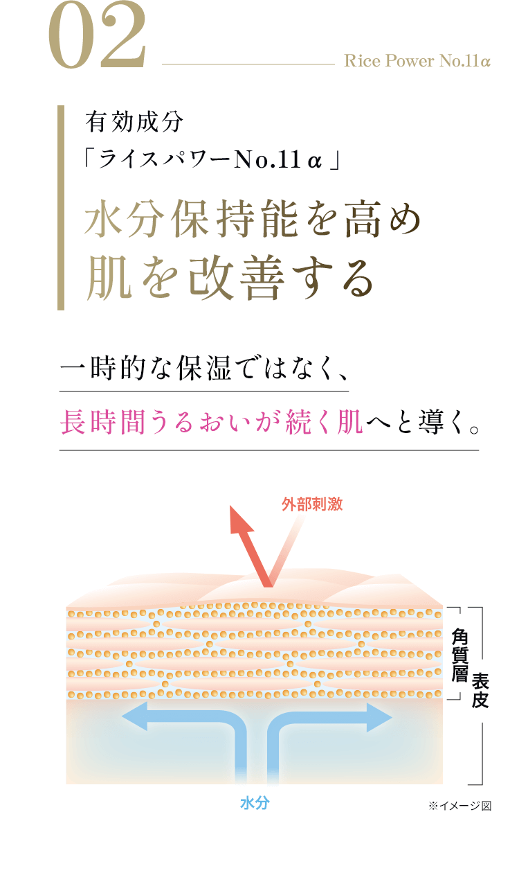 02 Rice Power No.11α 有効成分 「ライスパワーNo.11α」一時的な保湿ではなく、長時間うるおいが続く肌へと導く。