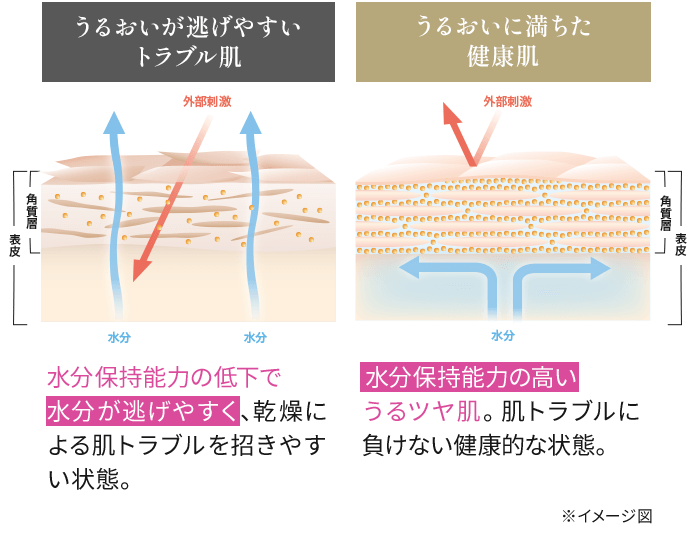 うるおいが逃げやすいトラブル肌　うるおいに満ちた健康肌