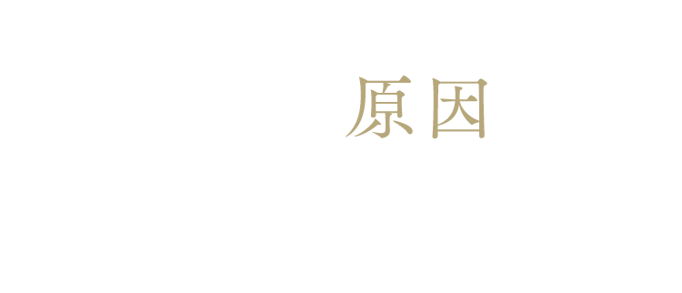 年齢肌に現れる肌トラブルその大きな原因は…