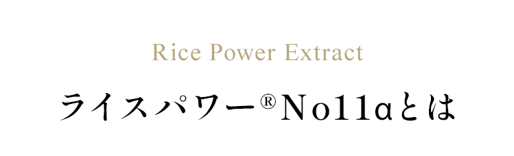 Rice Power Extract　ライスパワー®No11αとは