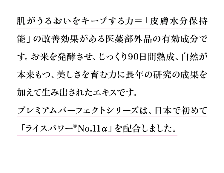 肌がうるおいをキープする力＝「皮膚水分保持能」の改善効果がある医薬部外品の有効成分です。お米を発酵させ、じっくり90日間熟成、自然が本来もつ、美しさを育む力に長年の研究の成果を加えて生み出されたエキスです。プレミアムパーフェクトシリーズは、日本で初めて「ライスパワー®No.11α」を配合しました。