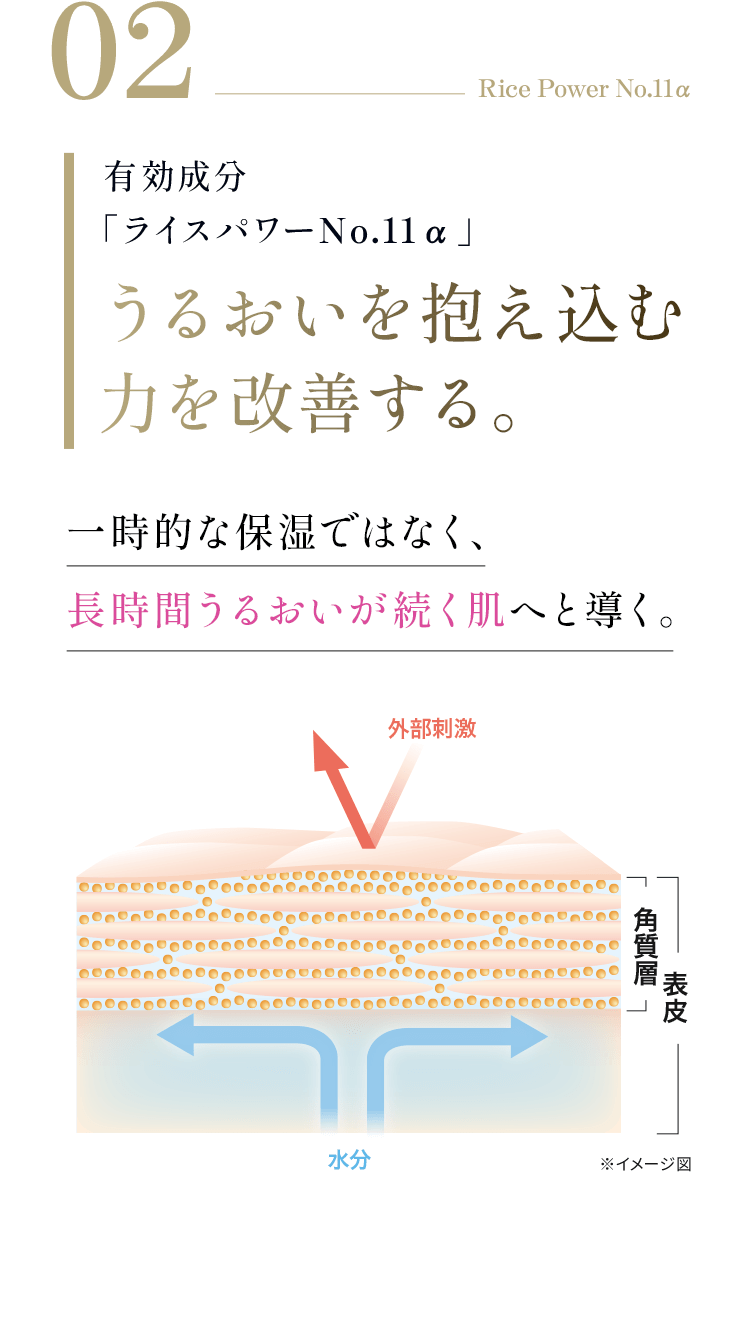 02 Rice Power No.11α 有効成分「ライスパワーNo.11α」うるおいを抱え込む力を改善する。一時的な保湿ではなく、長時間うるおいが続く肌へと導く。