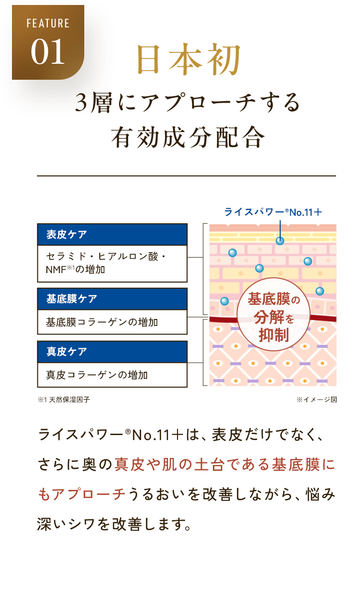 FEATURE01 日本初 ３層にアプローチする 有効成分配合 表皮ケア セラミド・ヒアルロン酸・NMF※1の増加 基底膜ケア 基底膜コラーゲンの増加 真皮ケア 真皮コラーゲンの増加 ライスパワー®No.11＋ 基底膜の分解を抑制 ※1 天然保湿因子 ※イメージ図 ライスパワー®No.11＋は、表皮だけでなく、さらに奥の真皮や肌の土台である基底膜にもアプローチうるおいを改善しながら、悩み深いシワを改善します。