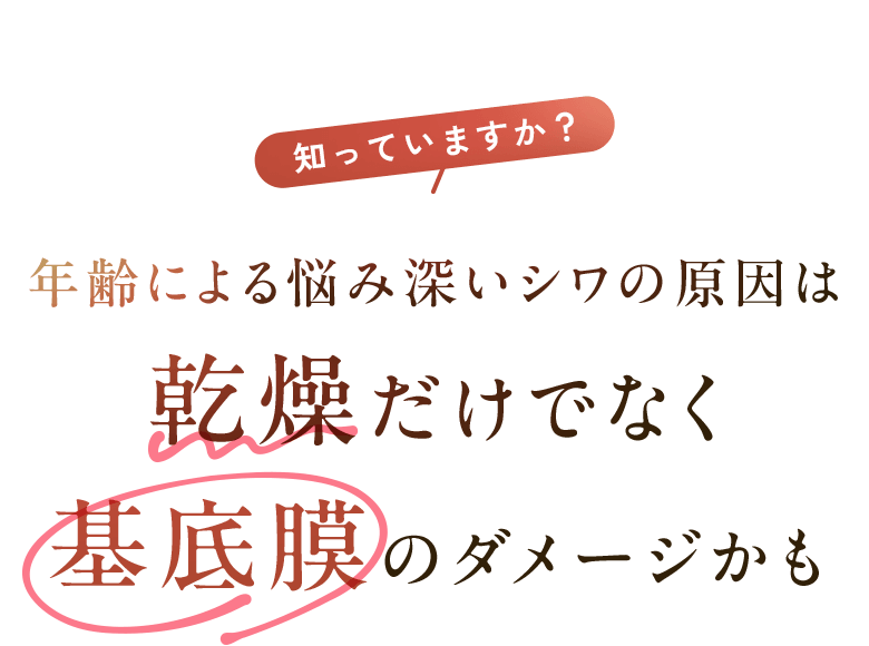 知っていますか？ 年齢による悩み深いシワの原因は乾燥だけでなく 基底膜のダメージかも