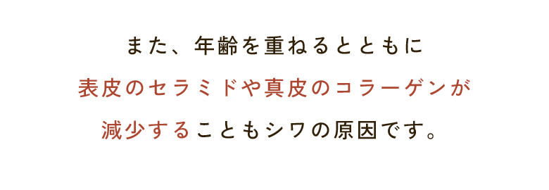 また、年齢を重ねるとともに表皮のセラミドや真皮のコラーゲンが減少することもシワの原因です。