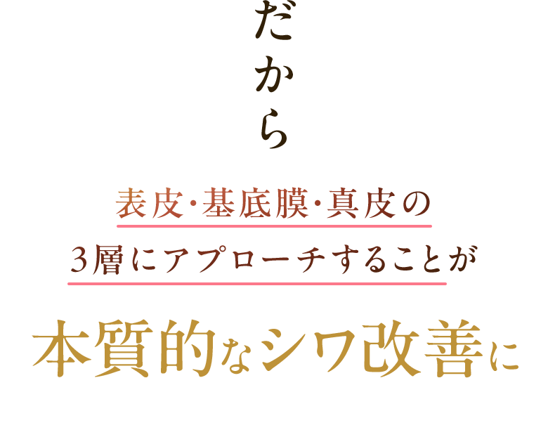 だから表皮・基底膜・真皮の ３層にアプローチすることが本質的なシワ改善に