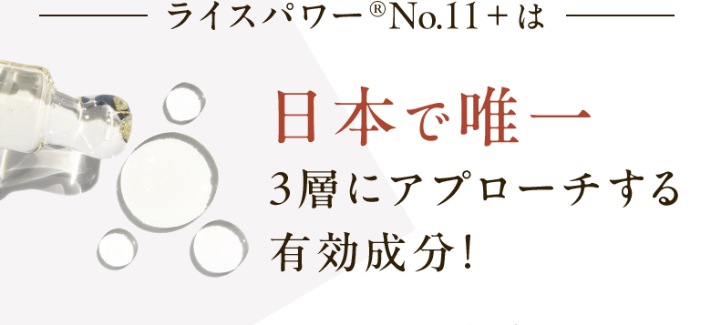 ライスパワー®No.11＋は日本で唯一 ３層にアプローチする 有効成分！