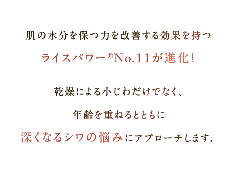 肌の水分を保つ力を改善する効果を持つ ライスパワー®No.11が進化！  乾燥による小じわだけでなく、 年齢を重ねるとともに 深くなるシワの悩みにアプローチします。